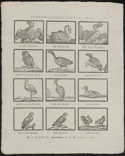 Verschillende vogels (Nº 5)
